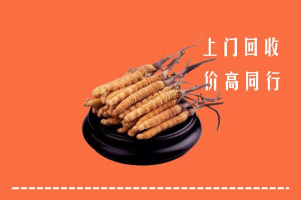 高价求购：淮北回收散虫草