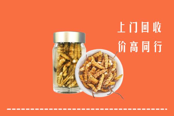 淮北回收冬虫夏草