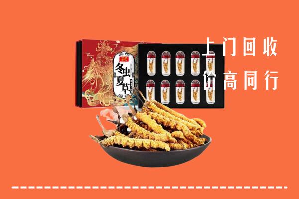 淮北回收虫草